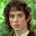 frodo.png